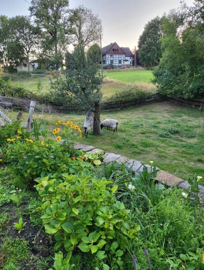 Souterrainwohnung im Grünen Witten Exterior foto