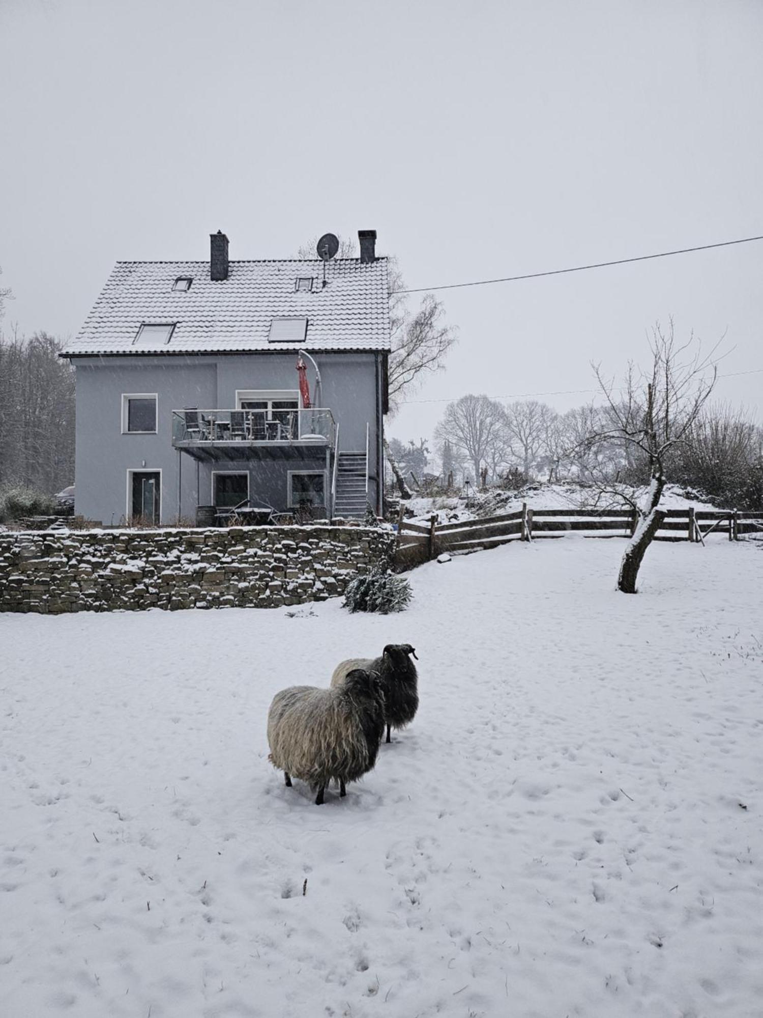 Souterrainwohnung im Grünen Witten Exterior foto